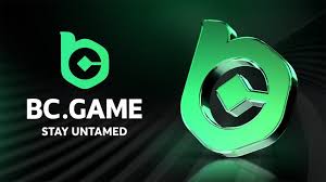 Explore the Excitement of Sportsbook BC.Game 1