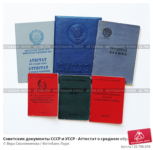 Купить диплом Институт СНГ без предоплаты ваш путь к успеху